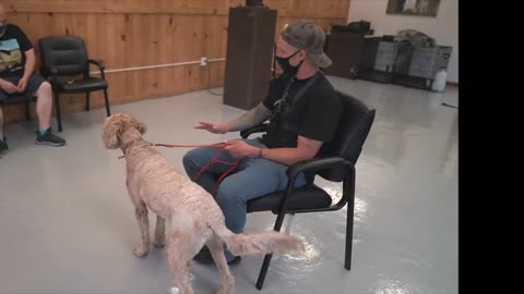SEPERATION ANXIETY DOG TRAINING FOR FEARFUL DOODLE (TRANSFORMATION)