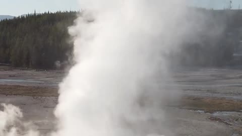 Unbelievable Yellowstone: Where Nature Gets Funky! 🌋🐻