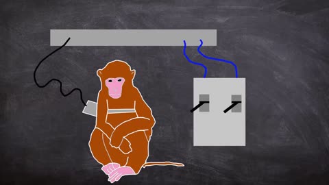 The Dark Side of Science: The Horrific Monkey Drug Experiment 1969 (Short Documentary)