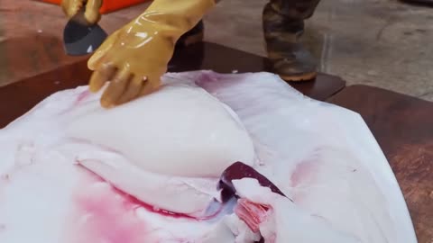 Amazing！Giant Sunfish Cutting Skills, Sunfish Catching, Sunfish Jelly