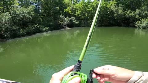 fishing another level