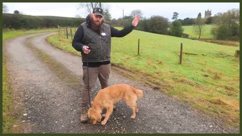 How to stop your dog pulling on the leash.