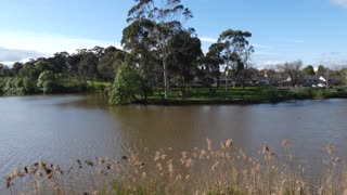 Pond Melbourne Australia