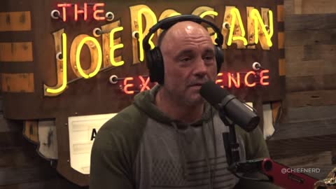 Joe Rogan and Dave Smith Rag on the 'F*cked up and Funny' Hypocrisy of the Martha's Vineyard Elite