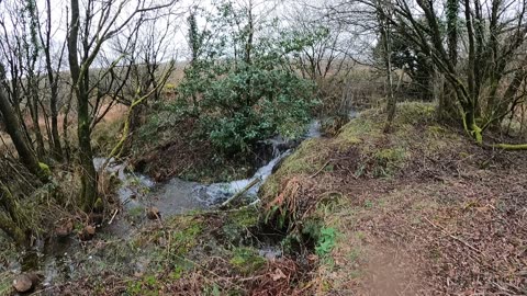 Let's have a look at this pitch at a campsite.. Dartmoor. 20th March 2023