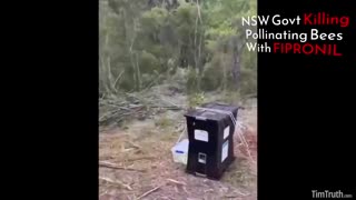 NSW AUSTRALIA GOVT DEPLOYS FIPRONIL BEE KILLING TRAPS: AND ALSO KILL 500 MILLION HIVE BEES