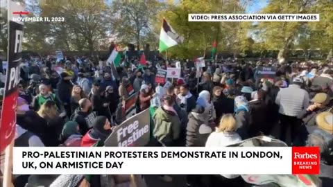 Protester Wraps Palestinian Flag Around World War I Memorial on Armistice Day in London