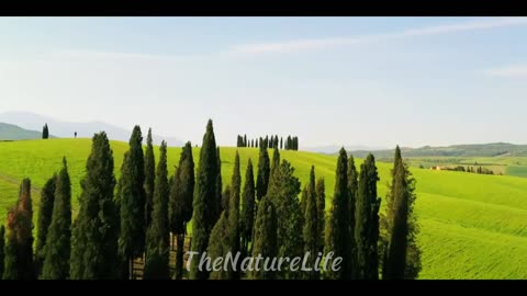 The Tuscany, A Cinematic Travel Video