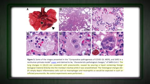 A FAREWELL TO VIROLOGY (PT 1): Dr Mark Bailey / Steve Falconer