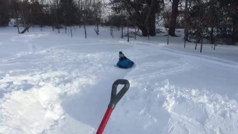 "Dad of the Year" builds backyard luge course