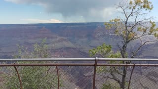Interesting Facts About the Grand Canyon If You Plan To Visit