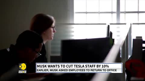 Musk wants to cut Tesla staff by 10% - World English News - International News - WION