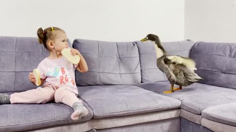 Cute_Baby_Trying_to_Feed_a_Giant_Duck