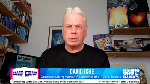 MAKING SENSE OF THE MADNESS - DAVID ICKE TALKS TO JASON BERMAS