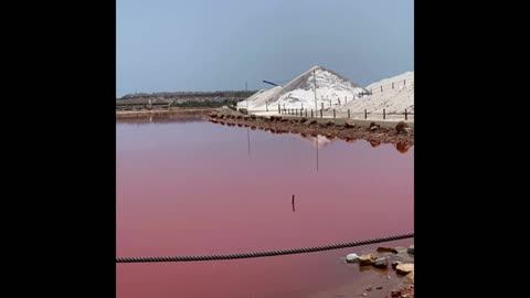 Hidden Wonders: Discover the World's Most Fascinating Salt Lakes"