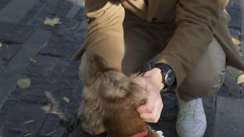 The man stroking the dog in slowmotion