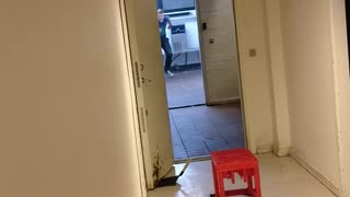 Guy trys to slide across floor on plastic container with wheels and face plants instead