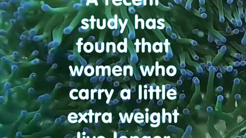 Funny Joke. A recent study has shown that woman who care extra weight....