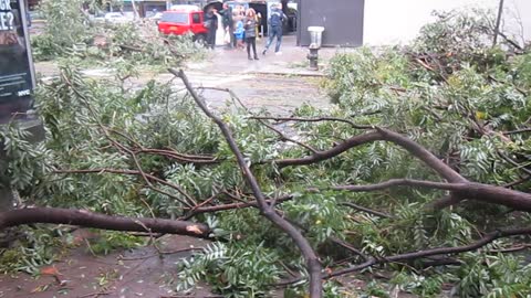 Hurricane Sandy aftermath - Upper East Side, Manhattan, New York City