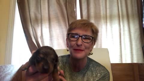 Ghislaine Found Guilty!; CDC Truth Bombs; Omicron & PRC Test Info; Puppies
