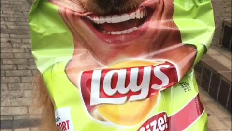 Smiling Dog Participates In Potato Chip Campaign