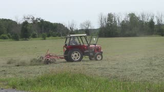 Thrashing Hay??