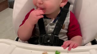 Adorable toddler gets caught hiding broccoli at dinner