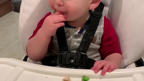 Adorable toddler gets caught hiding broccoli at dinner