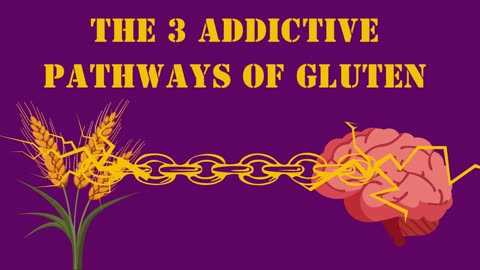 The 3 ADDICTIVE pathways of Gluten/Wheat
