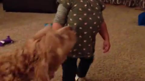 Toddler imitating how pregnant mom walk