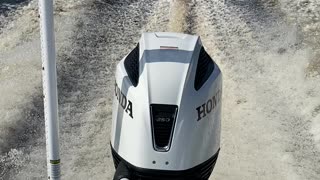 Honda Outboards are the Champ!