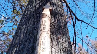 Old Testament Prophecies Fulfilled in Christ, 9ft 4in Hand Carved Woodburned Christian Art Staff