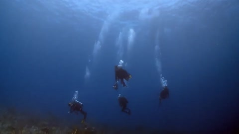 Decade Long Survey Finds Climate Change Is Pushing Isolate Reefs To Brink Of Collapse