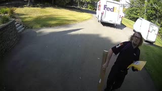 Driver Delivers Package and Smiles