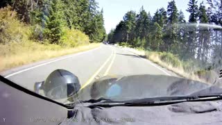 Driving Hazards