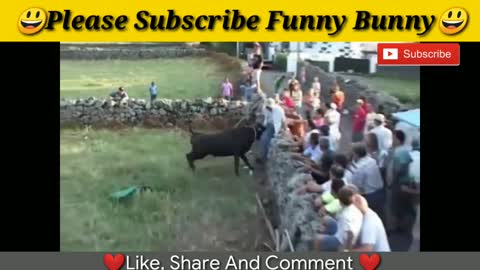 Best funny video! Most awesome bullfighting festival funny crazy bull fails