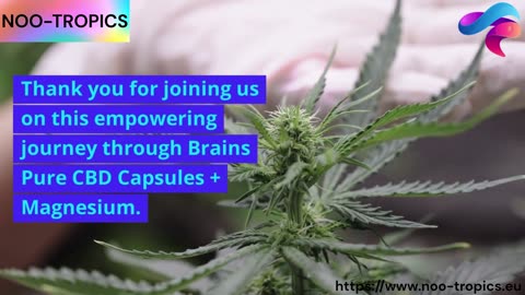 Nurture Your Well-Being: Brains Pure CBD Capsules + Magnesium - 28 Potent Capsules