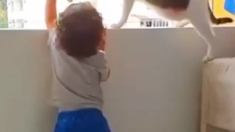 A smart kitten keeps a small child safe by not letting him climb the window