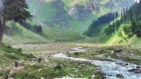 TOP 5 Best Places For Visit In Himachal Pradesh-himachal tour