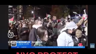 Palestine Protesters in NYC!….⏳