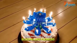 Blooming Musical Candle - Spinning Magic Birthday Lotus Flower That Opens