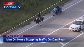 🚨🚔🤠Chicago Police👮‍♂️ Chase A Horse🐴 & Cowboy🤠 On The Highway👀🚨