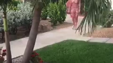 Blonde woman pink walking to camera grass trips