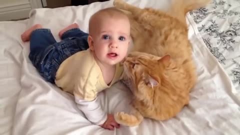 this cute Cat really loves this cute baby