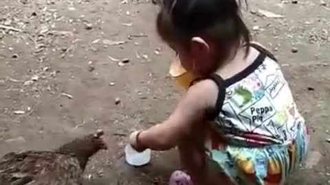 Baby girl Feeding chickens