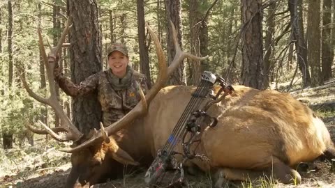 Bowhunting Elk_ Monster Bull at 10 Steps