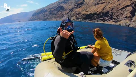 Great White Shark Submarine Explores the Kill Zone!