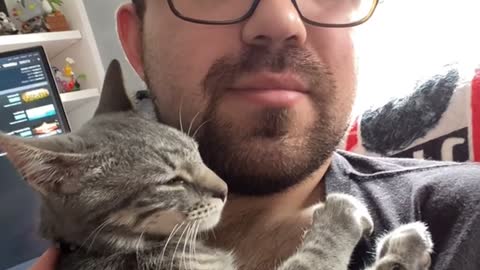Snuggly Kitty Cuddles up on Owner's Chest