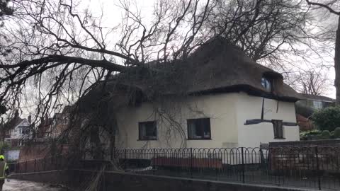 Tree falls on house in Leicestershire amid Storm Franklin- NEWS OF WORLD 🌏