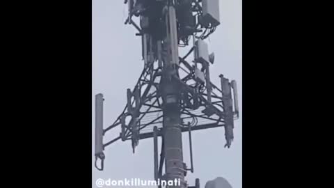 Birds Attack a 5G Tower in UK...They Know It's a Weapon